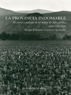cover image of La provincia indomable Historia y paisaje de la sierra de Metztitlán, siglos XVI-XVIII